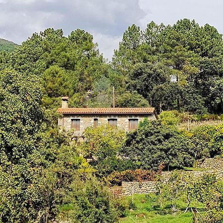 Casa Rural En Candeleda Con Piscina Y Un Maravilloso Jardin Esterno foto