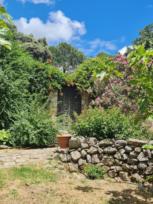 Casa Rural En Candeleda Con Piscina Y Un Maravilloso Jardin Esterno foto