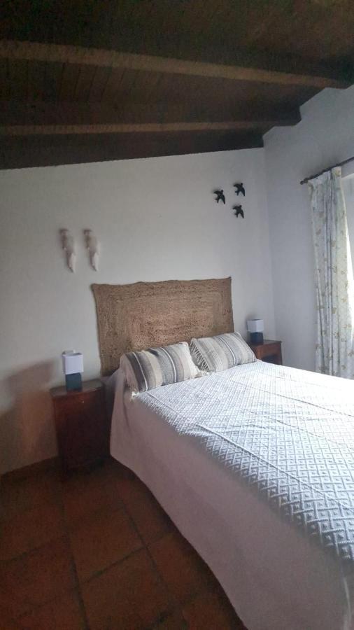 Casa Rural En Candeleda Con Piscina Y Un Maravilloso Jardin Esterno foto