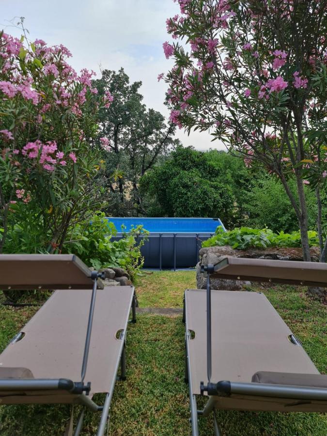 Casa Rural En Candeleda Con Piscina Y Un Maravilloso Jardin Esterno foto