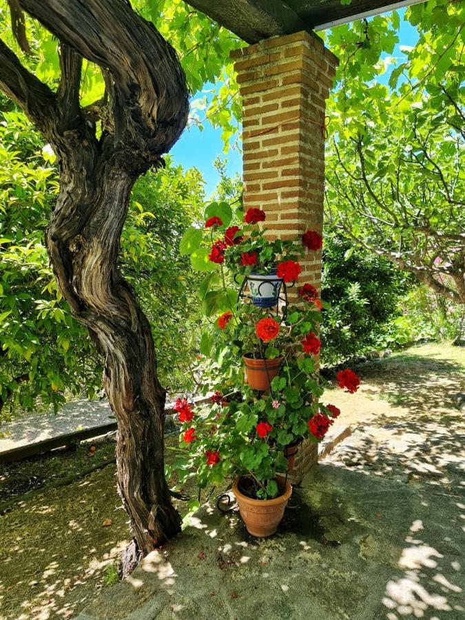 Casa Rural En Candeleda Con Piscina Y Un Maravilloso Jardin Esterno foto