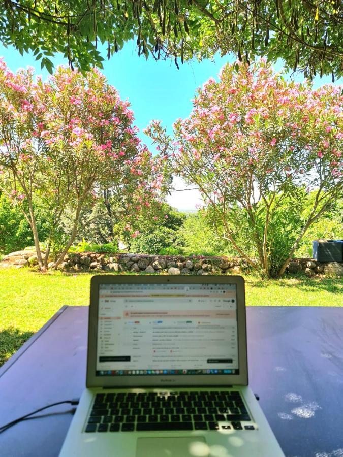 Casa Rural En Candeleda Con Piscina Y Un Maravilloso Jardin Esterno foto