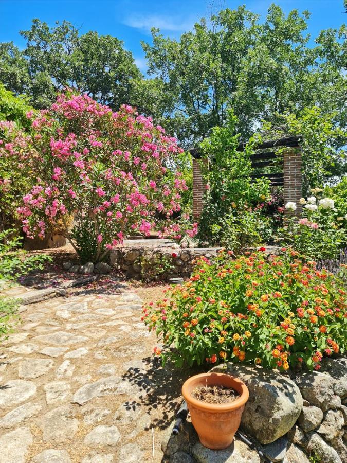 Casa Rural En Candeleda Con Piscina Y Un Maravilloso Jardin Esterno foto