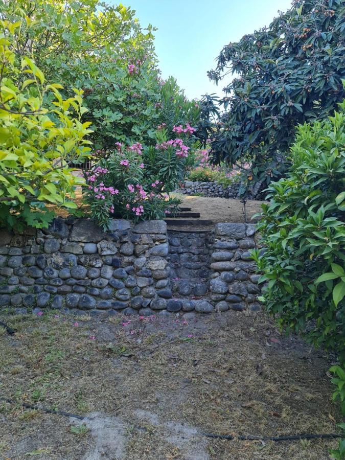Casa Rural En Candeleda Con Piscina Y Un Maravilloso Jardin Esterno foto