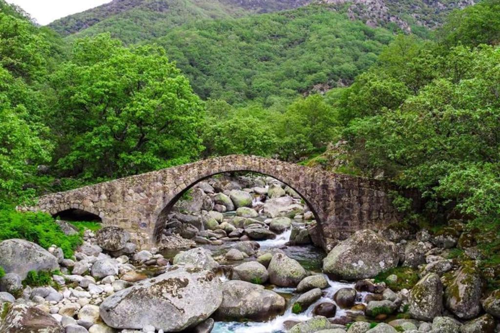 Casa Rural En Candeleda Con Piscina Y Un Maravilloso Jardin Esterno foto