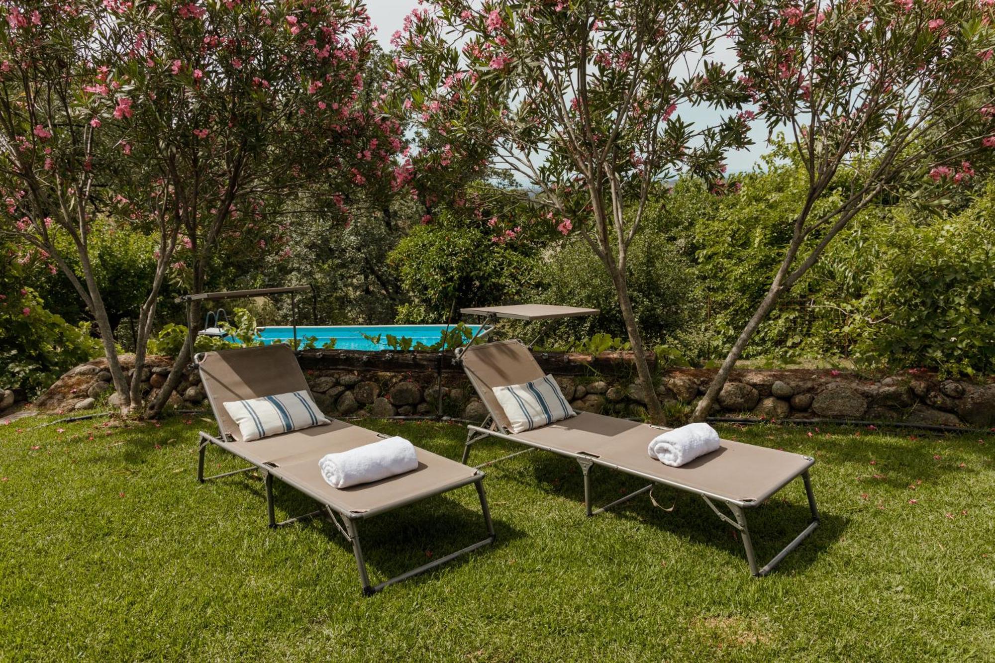 Casa Rural En Candeleda Con Piscina Y Un Maravilloso Jardin Esterno foto