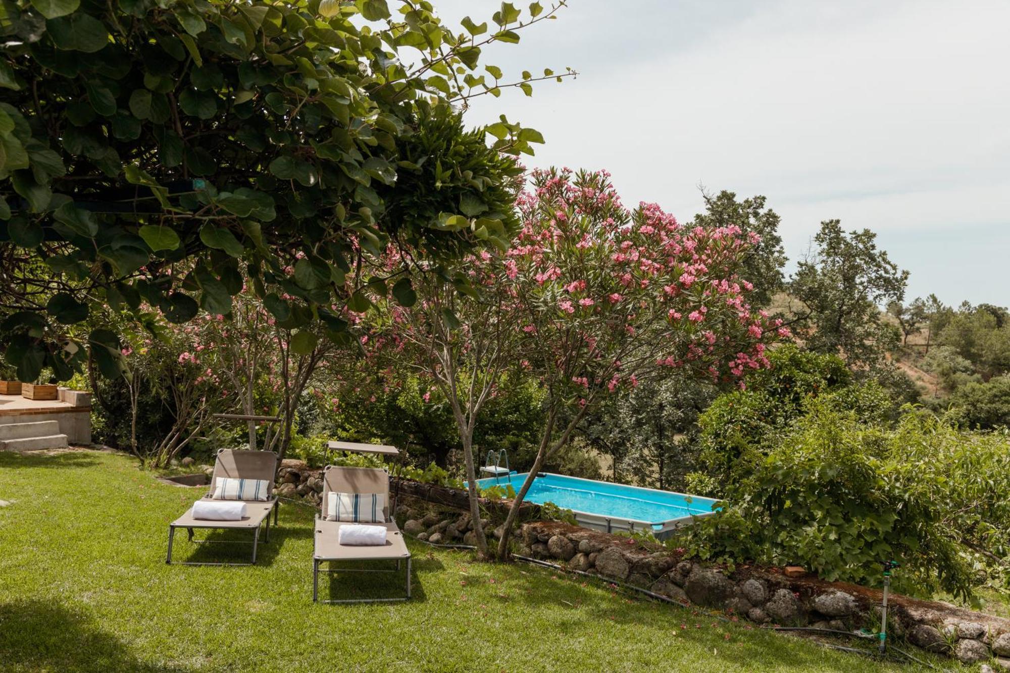 Casa Rural En Candeleda Con Piscina Y Un Maravilloso Jardin Esterno foto