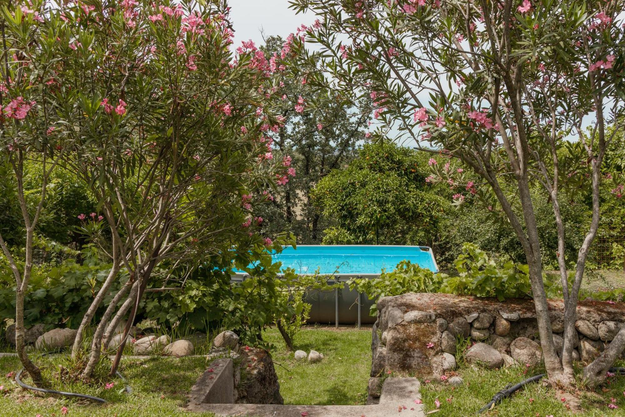 Casa Rural En Candeleda Con Piscina Y Un Maravilloso Jardin Esterno foto