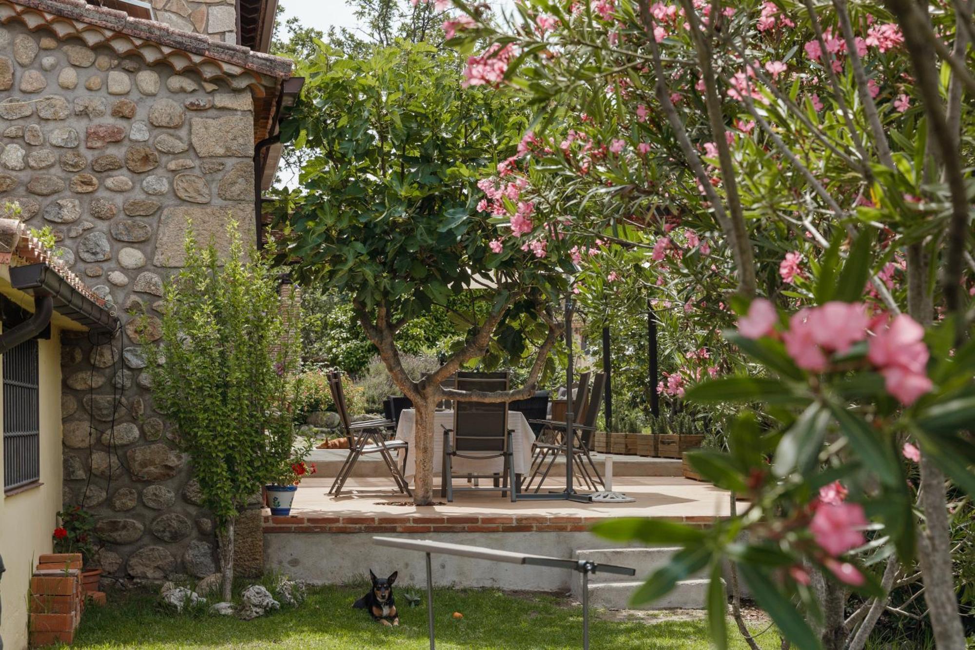Casa Rural En Candeleda Con Piscina Y Un Maravilloso Jardin Esterno foto
